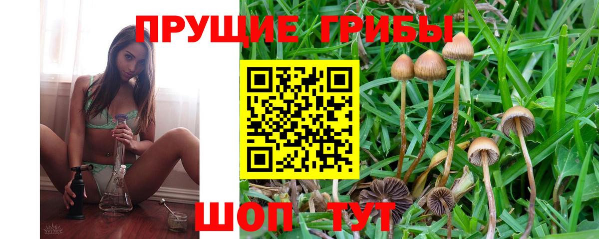 Галлюциногенные грибы MAGIC MUSHROOMS  Псилоцибиновые грибы мицелий  Вход с VPN  магазин  наркотиков  Сегежа 